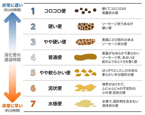 水便原因|【医師が解説】下痢が水っぽいのは何かの病気？対処。